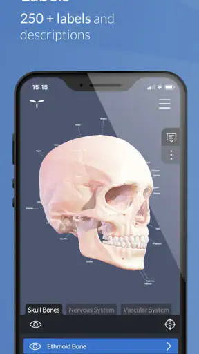 Head Atlas screenshot