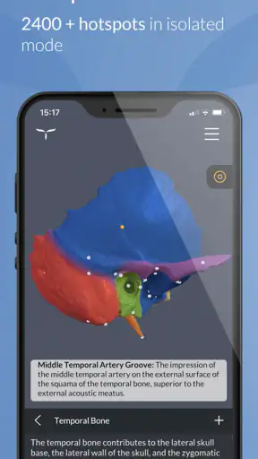 Head Atlas screenshot