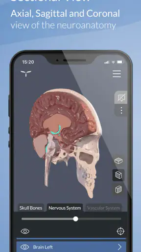 Head Atlas screenshot