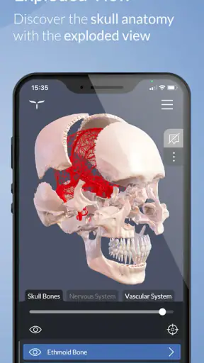 Head Atlas screenshot
