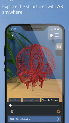 Head Atlas screenshot
