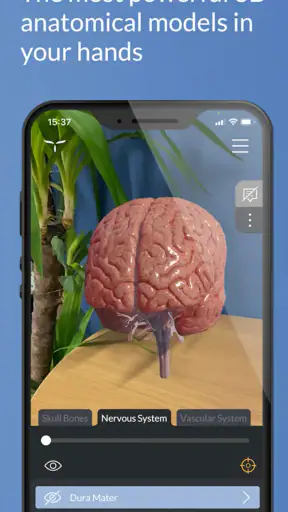 Head Atlas screenshot