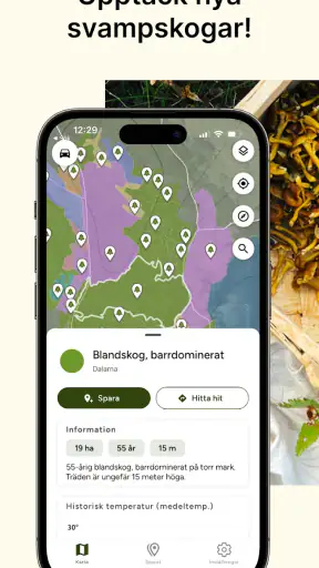 Hitta Skog: Svamp och Bär screenshot