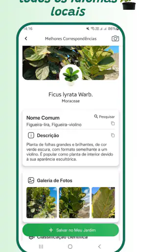 Identificador de plantas screenshot