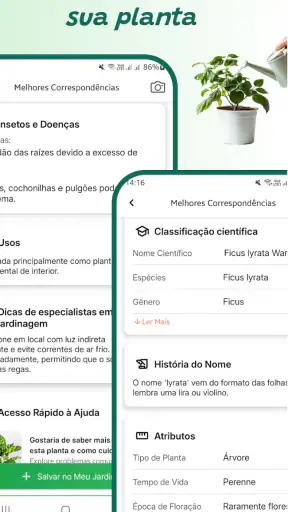Identificador de plantas screenshot