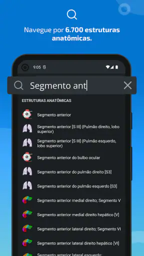IMAIOS e-Anatomy screenshot