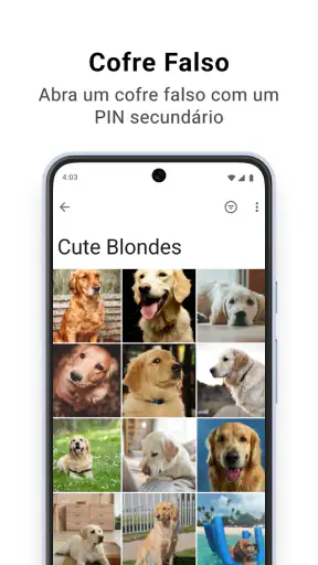 Keepsafe: Guardar Foto e Video screenshot