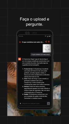Le Chat by Mistral AI screenshot
