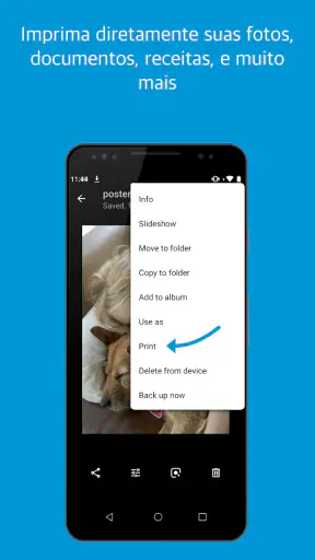 manutenção da impressora screenshot