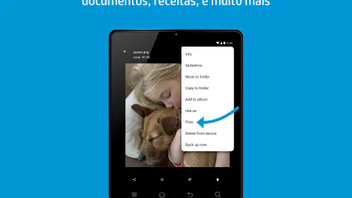 manutenção da impressora screenshot