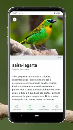 Merlin Bird ID por Cornell Lab screenshot