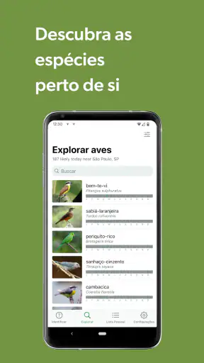 Merlin Bird ID por Cornell Lab screenshot