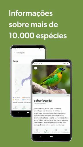 Merlin Bird ID por Cornell Lab screenshot