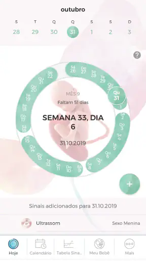 Minha Gravidez por Paula screenshot