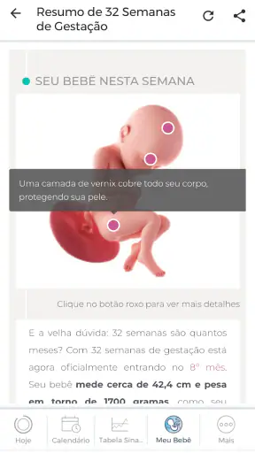 Minha Gravidez por Paula screenshot