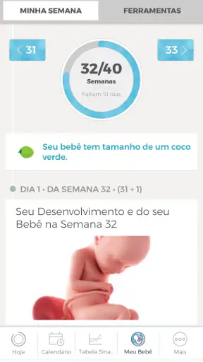 Minha Gravidez por Paula screenshot