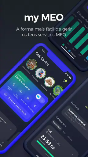my MEO screenshot