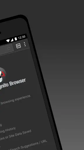 Navegador anônimo Puffin screenshot