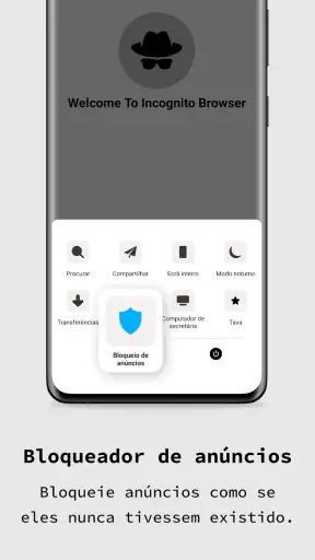 navegador privado screenshot