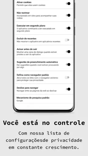 navegador privado screenshot