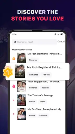 NovelMaster screenshot