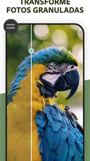 Photoshop Express Editar Fotos screenshot