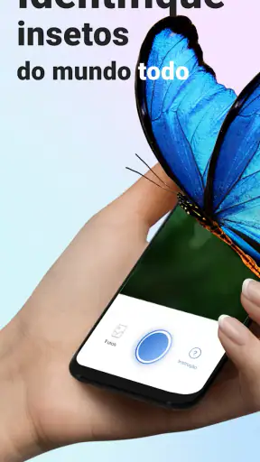 Picture Insect - Insetos ID screenshot