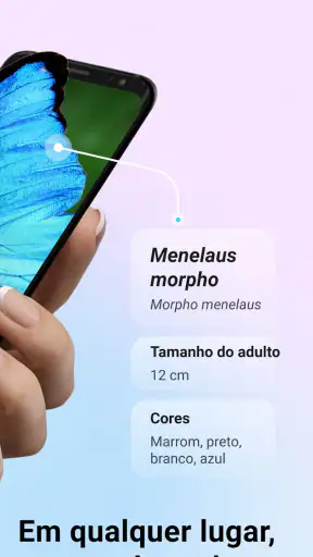Picture Insect - Insetos ID screenshot