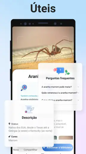 Picture Insect - Insetos ID screenshot