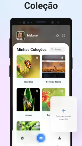 Picture Insect - Insetos ID screenshot
