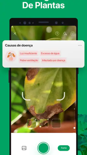 PictureThis Identificar Planta screenshot