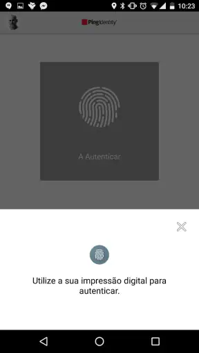 PingID screenshot
