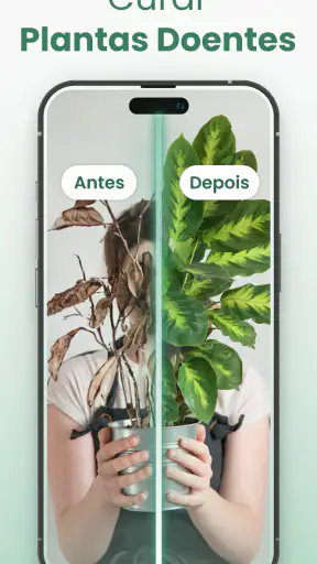 Plantify: Identificador Planta screenshot