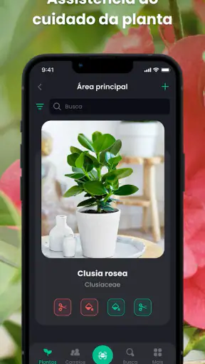 PlantIn: Identificar Plantas screenshot