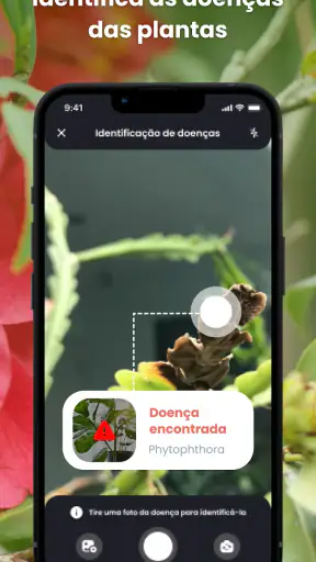 PlantIn: Identificar Plantas screenshot