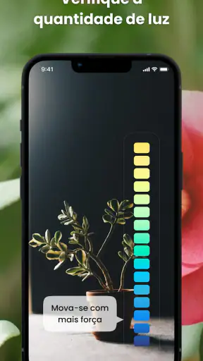 PlantIn: Identificar Plantas screenshot