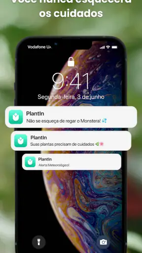 PlantIn: Identificar Plantas screenshot