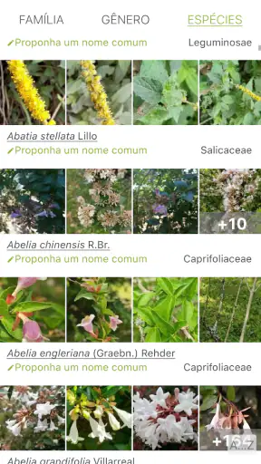 PlantNet Identificação planta screenshot