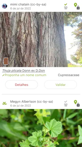 PlantNet Identificação planta screenshot