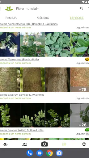 PlantNet Identificação planta screenshot