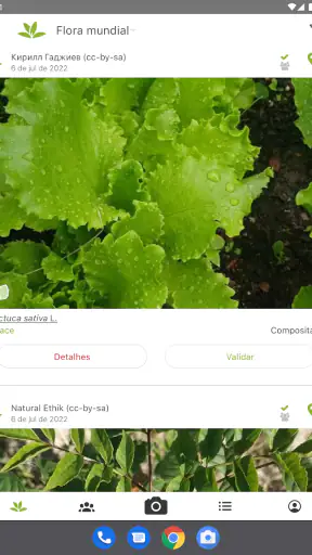 PlantNet Identificação planta screenshot