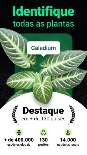 Plantum - Identificar plantas screenshot
