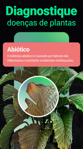 Plantum - Identificar plantas screenshot