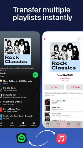 Playlist Transfer for My Music screenshot