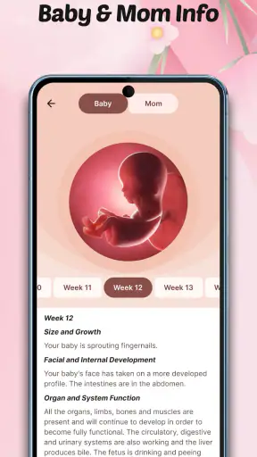 Pregnancy Tracker: Baby Growth screenshot