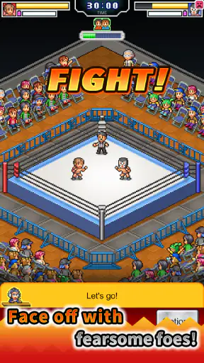 Pro Wrestler Story screenshot