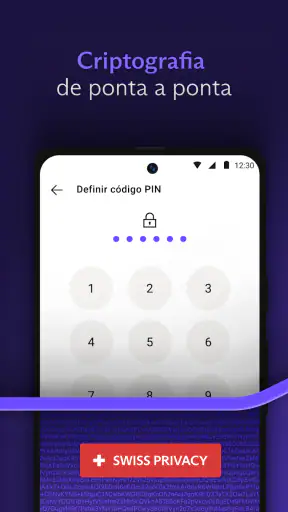 Proton Mail criptografado screenshot