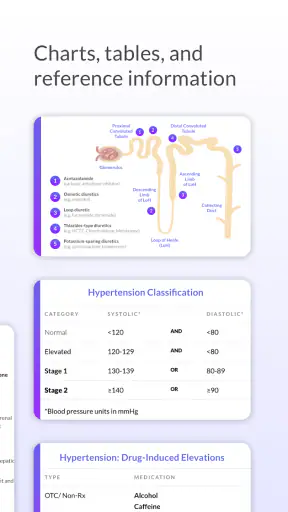 Pyrls screenshot