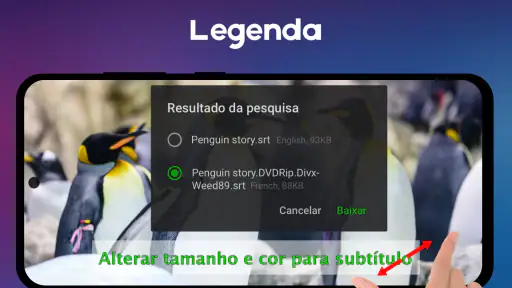 Reprodutor de Vídeo All Format screenshot