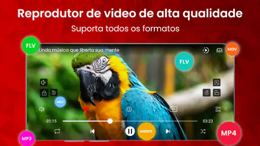 Reprodutor de Vídeo - wTuber screenshot